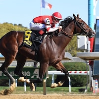 Keewaydin breaking his maiden at Aqueduct (Photo by Coglianese Photos/Susie Raisher)