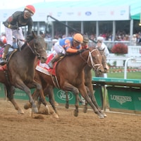 Golden Tempo, Renegade (Photo by Horsephotos.com)