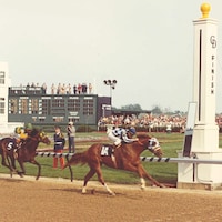 Secretariat and Sham in the Kentucky Derby (Photo courtesy of the Kentucky Derby Museum/Churchill Downs)