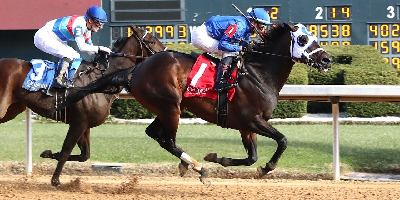 Kinetic wins the General Macarthur Overnight Stakes at Oaklawn Park.