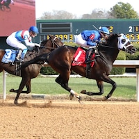 Kinetic wins the General Macarthur Overnight Stakes at Oaklawn Park.