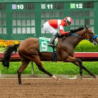 Kings River Knight wins the E.B. Johnson S. at Los Alamitos.