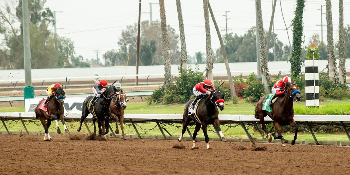 Kings River Knight wins the E.B. Johnson S. at Los Alamitos.