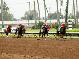 Kings River Knight wins the E.B. Johnson S. at Los Alamitos.