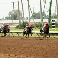 Kings River Knight wins the E.B. Johnson S. at Los Alamitos.
