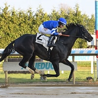 Knightsbridge rolled in an allowance at Aqueduct in first-time blinkers