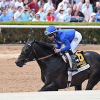 Knightsbridge wins the Gulfstream Park Mile at Gulfstream Park.