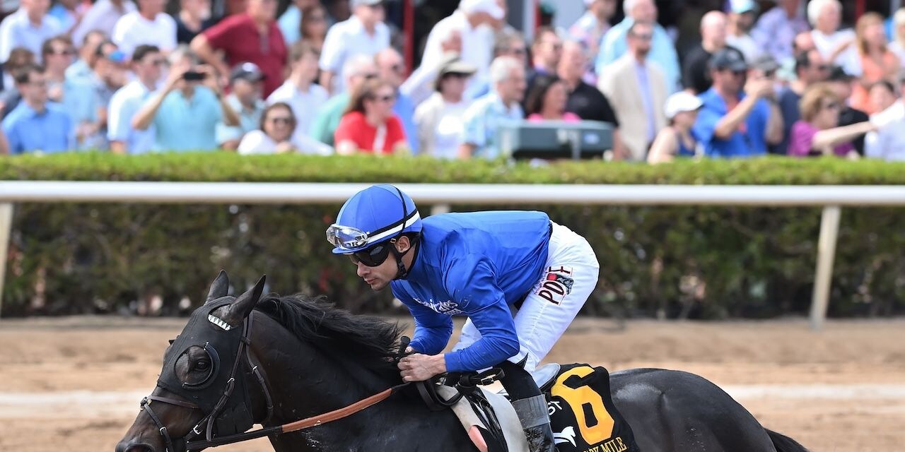 Knightsbridge wins the Gulfstream Park Mile at Gulfstream Park.