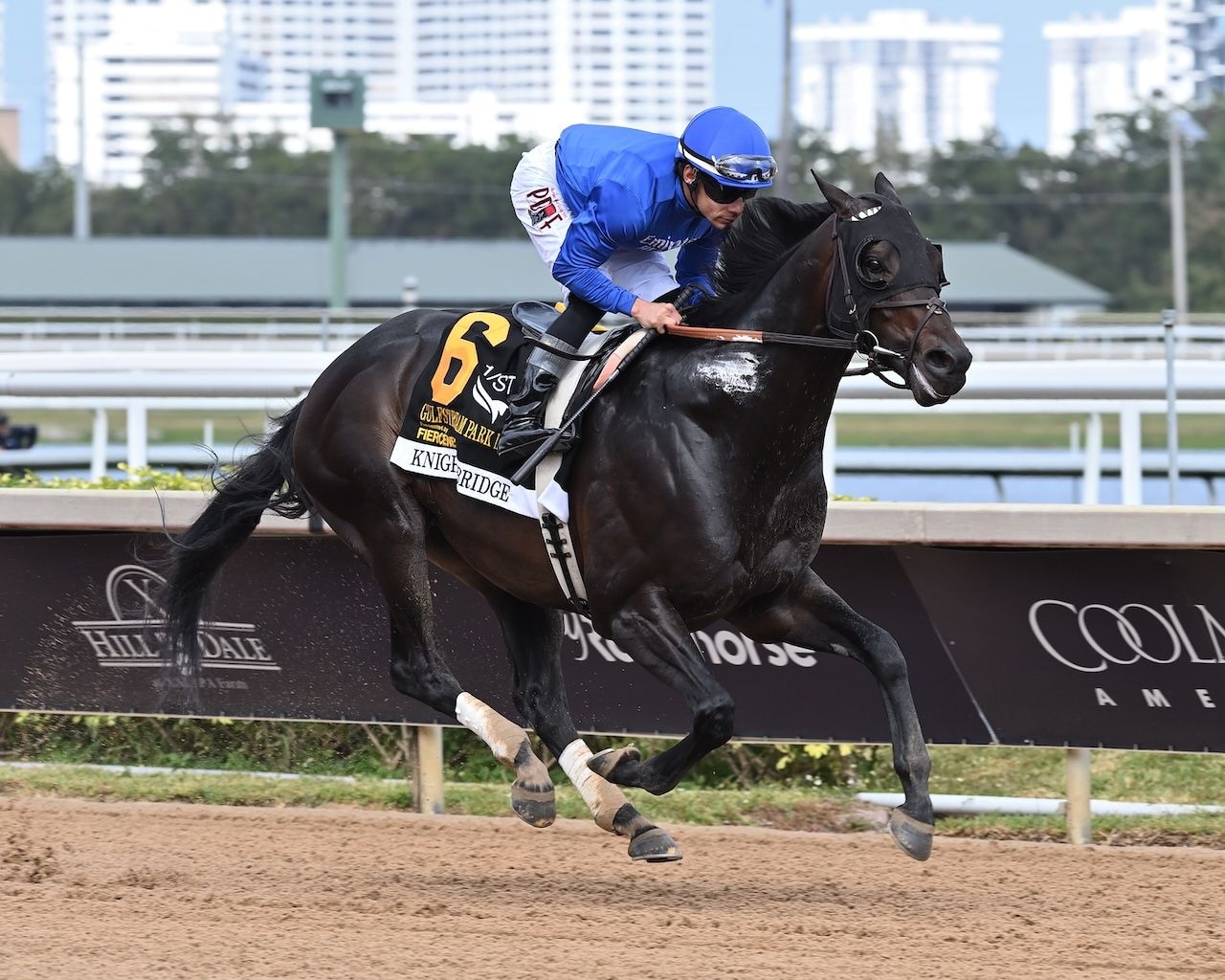Knightsbridge wins the Gulfstream Park Mile at Gulfstream Park.