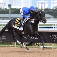 Knightsbridge wins the Gulfstream Park Mile at Gulfstream Park.