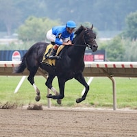 Knightsbridge wins the Monmouth Cup at Monmouth Park. 