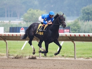 Knightsbridge wins the Monmouth Cup at Monmouth Park.