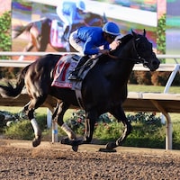 Knightsbridge wins the Pacific Classic at Del Mar.