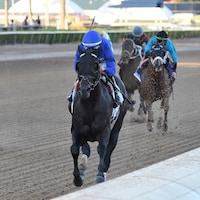 Knightsbridge wired the Mr. Prospector (G3) as the 1-5 favorite