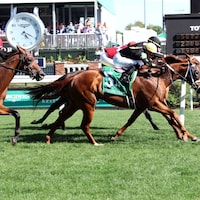 Lagynos wins the Opening Verse at Churchill Downs. 