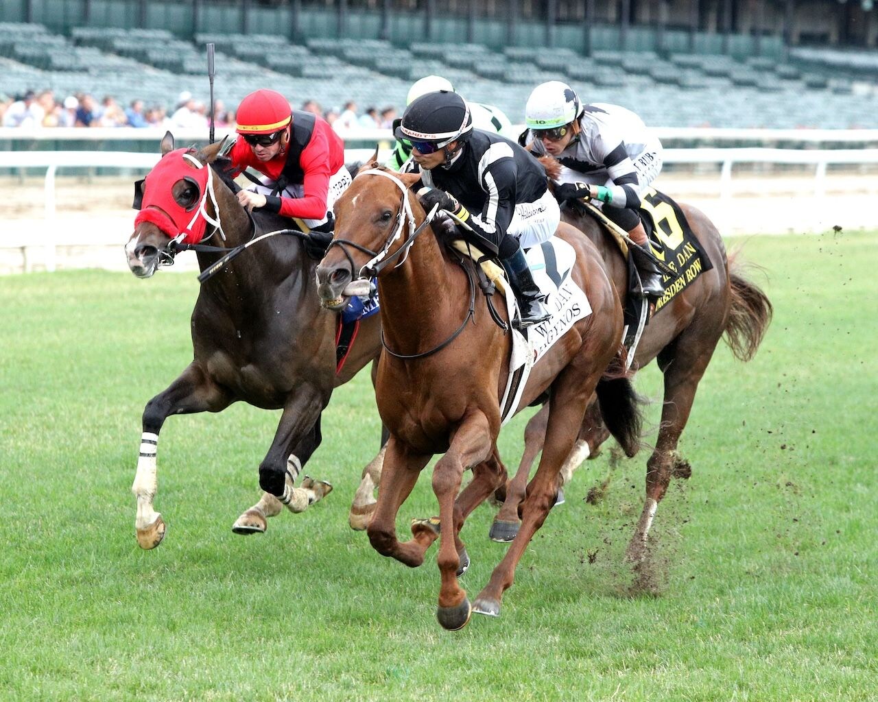 Lagynos wins the Wise Dan (G2) at Churchill Downs. 