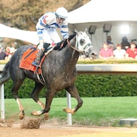 Lemon Muffin breaking her maiden in the Honeybee (G3) at Oaklawn Park (Photo by Coady Photography/Renee Torbit)