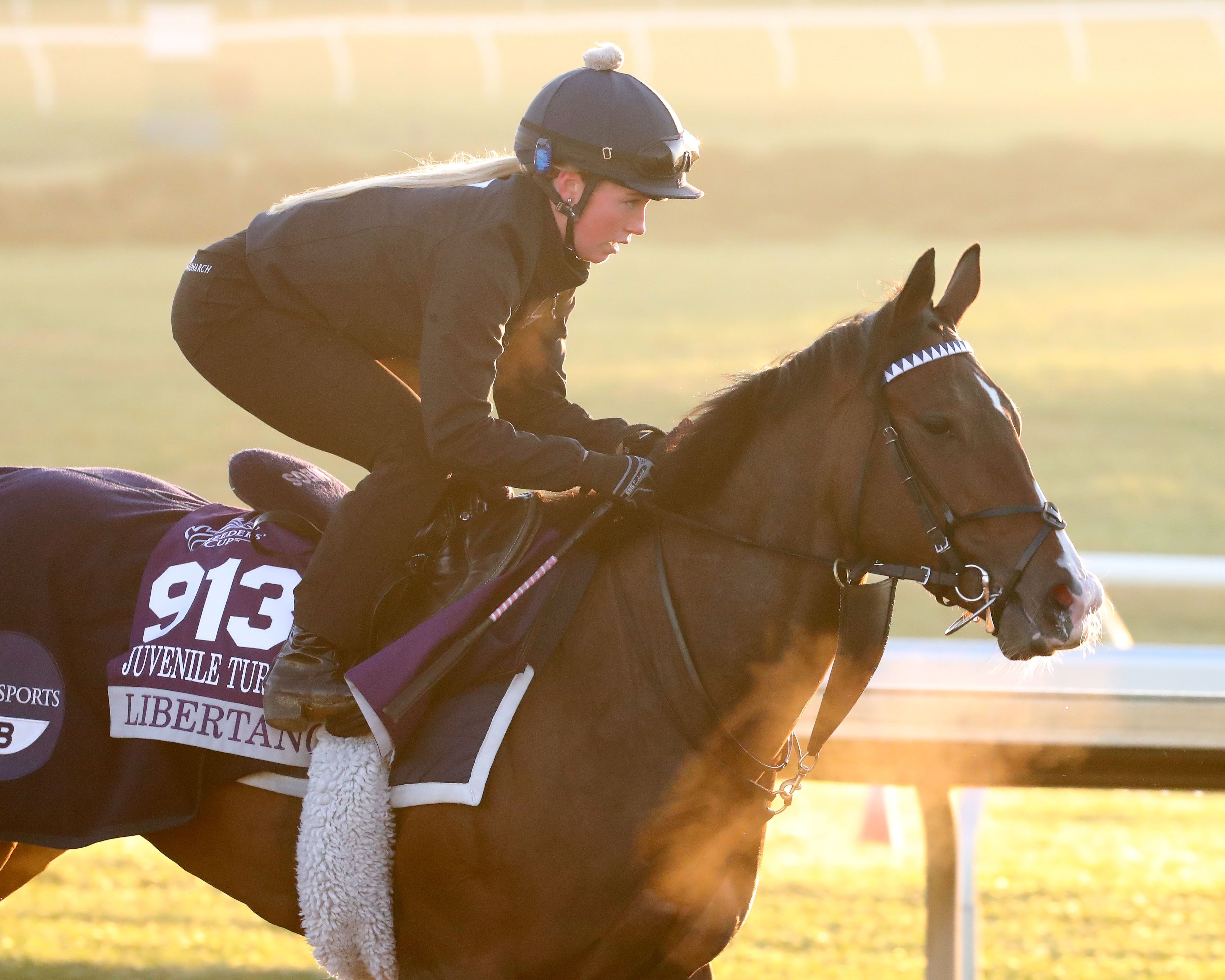 Libertango galloping at Keeneland.