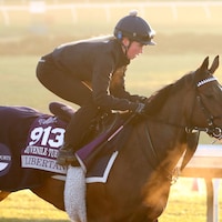 Libertango galloping at Keeneland.
