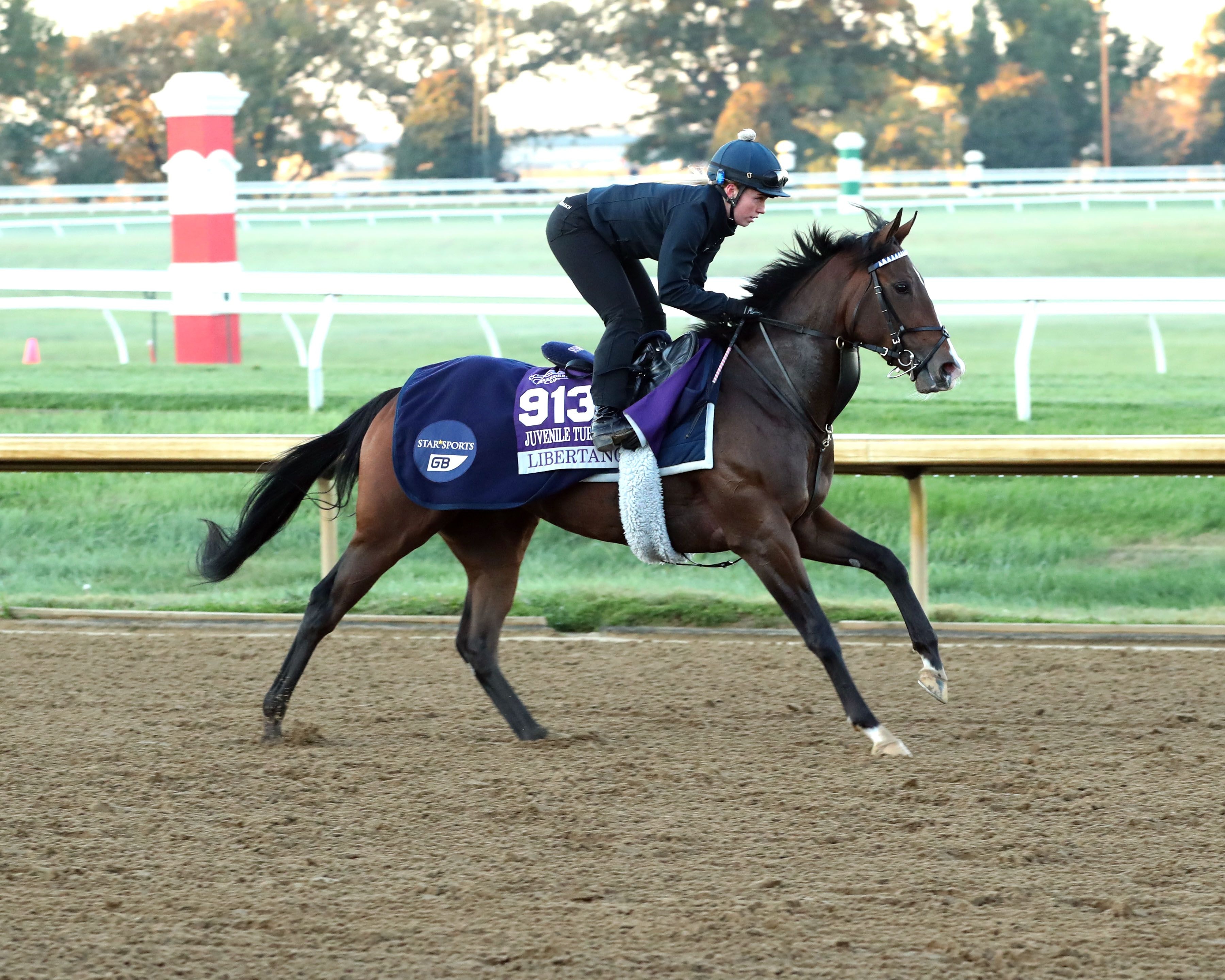 Libertango galloping at Keeneland.