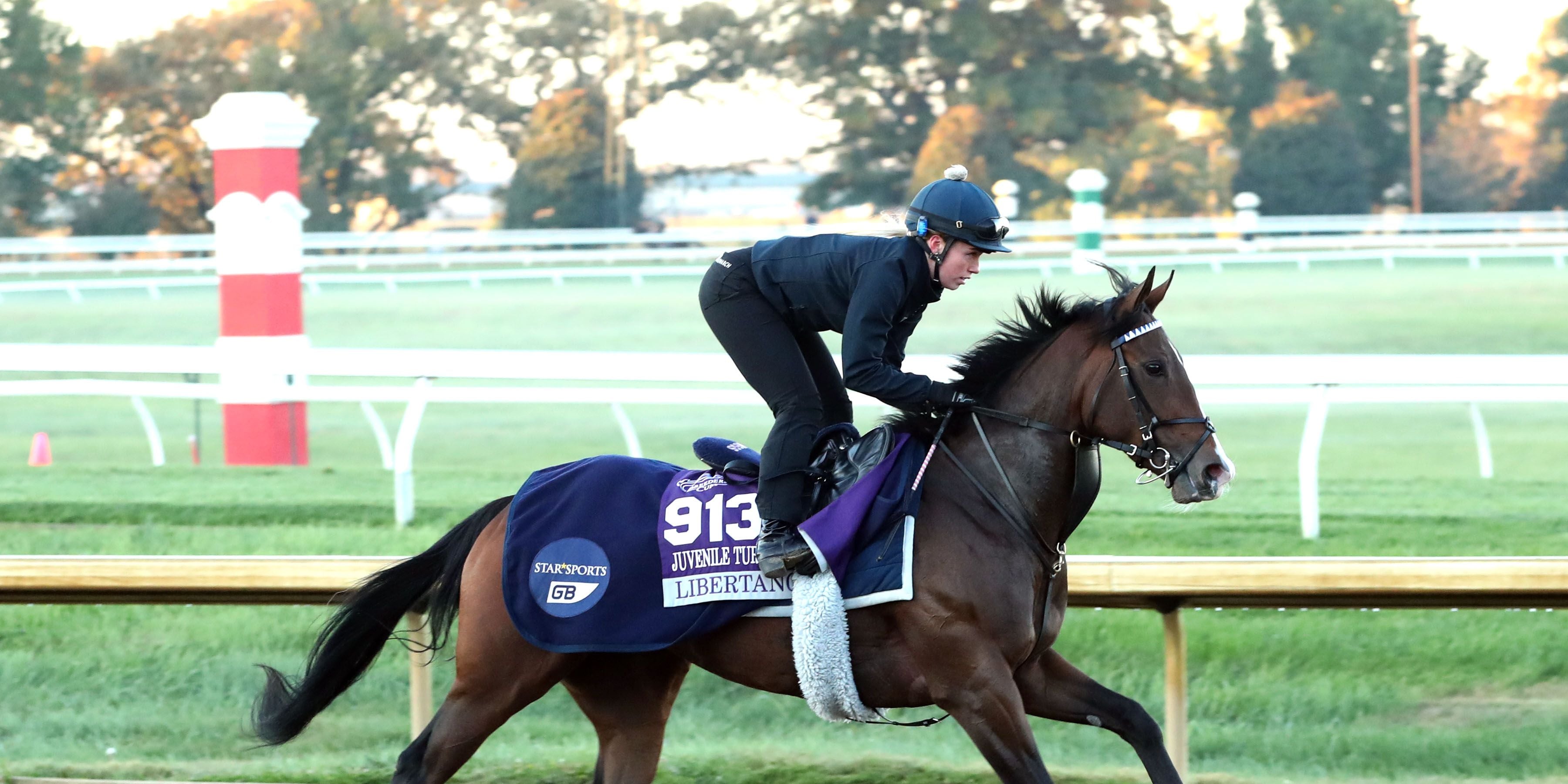 Libertango galloping at Keeneland.