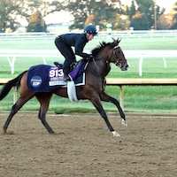 Libertango galloping at Keeneland.