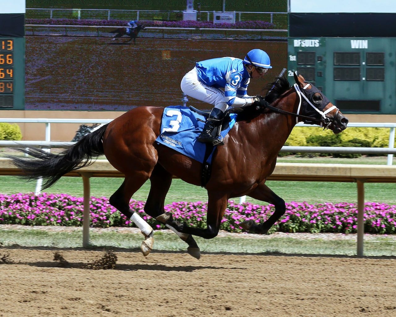 Lightline wins at Horseshoe Indianapolis (Photo by Coady Photography)