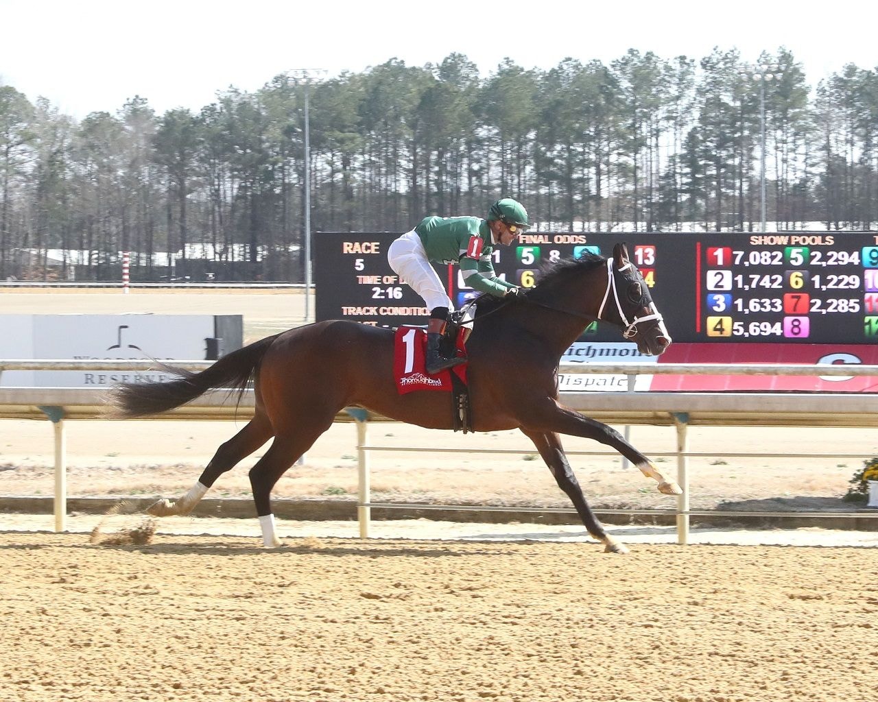 Lion of Justice winning his debut at Colonial Downs (Photo by Coady Media)