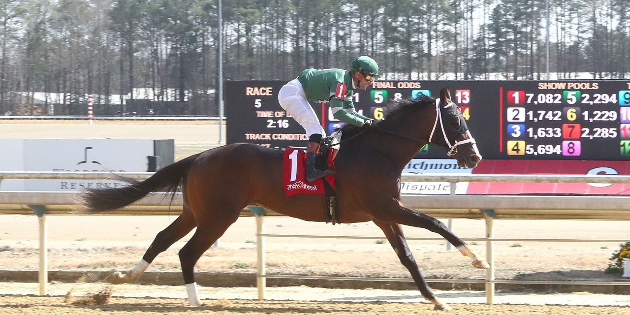 Lion of Justice winning his debut at Colonial Downs (Photo by Coady Media)