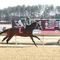 Lion of Justice winning his debut at Colonial Downs (Photo by Coady Media)