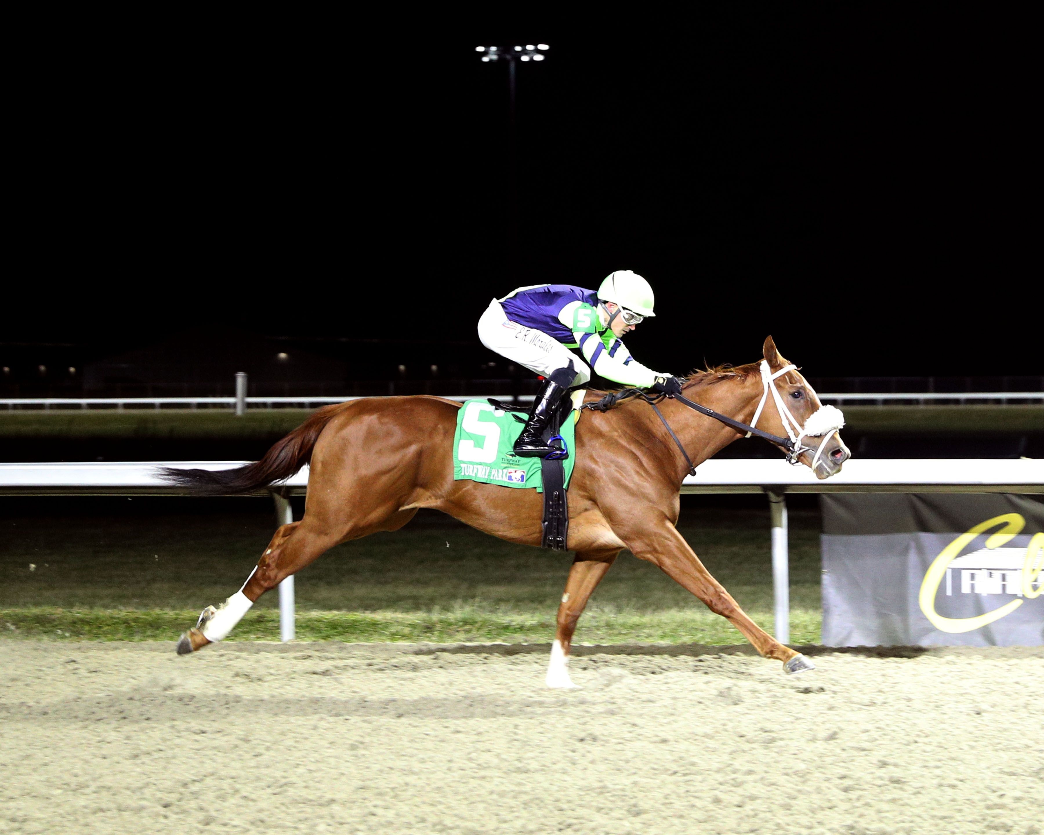 Lockstocknpharoah wins at Turfway Park. 
