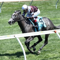 Luster wins at Keeneleand. 