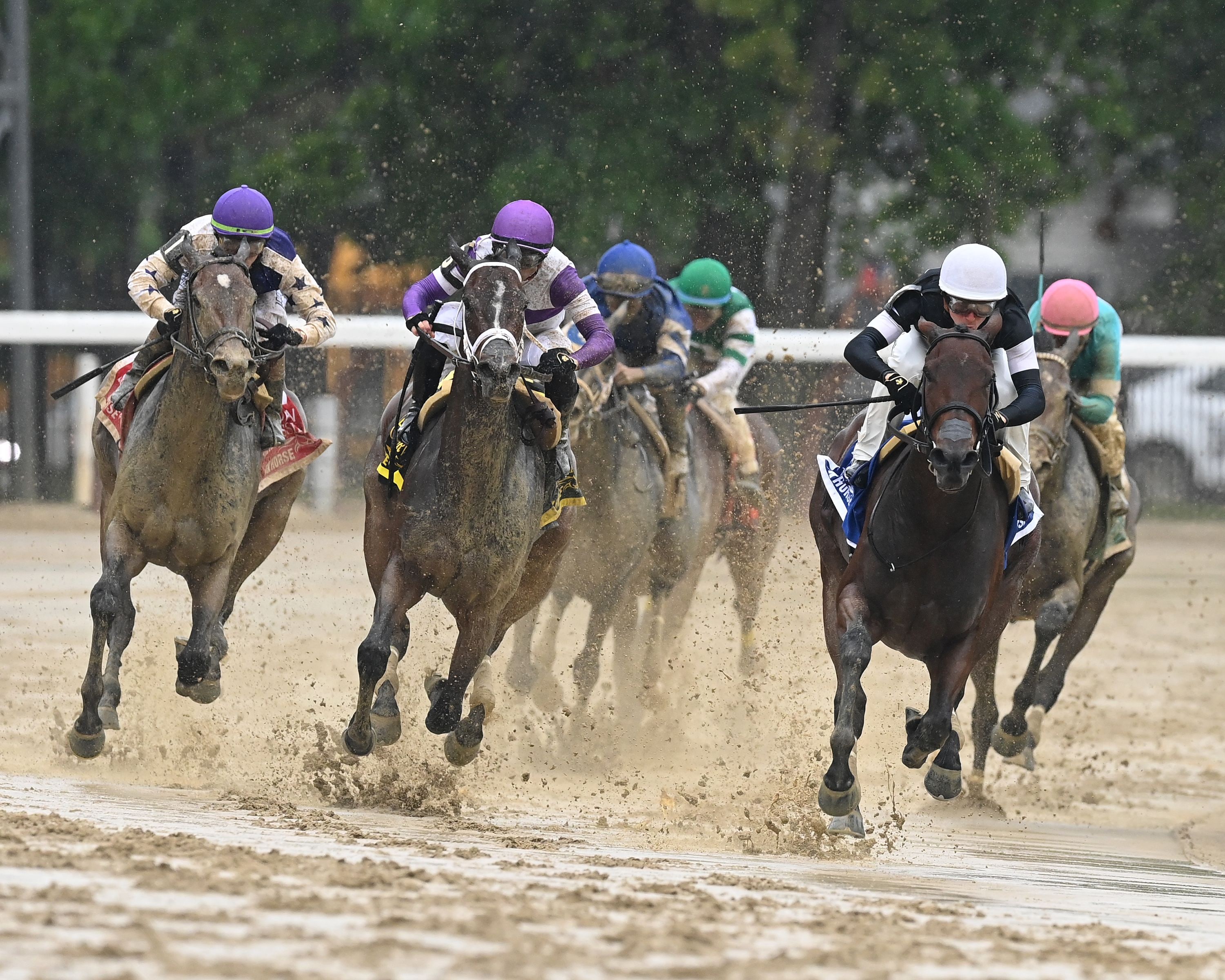 La Cara wins the Acorn S. at Saratoga 2025 (Photo by Coglianese Photos/Dom Napolitano)