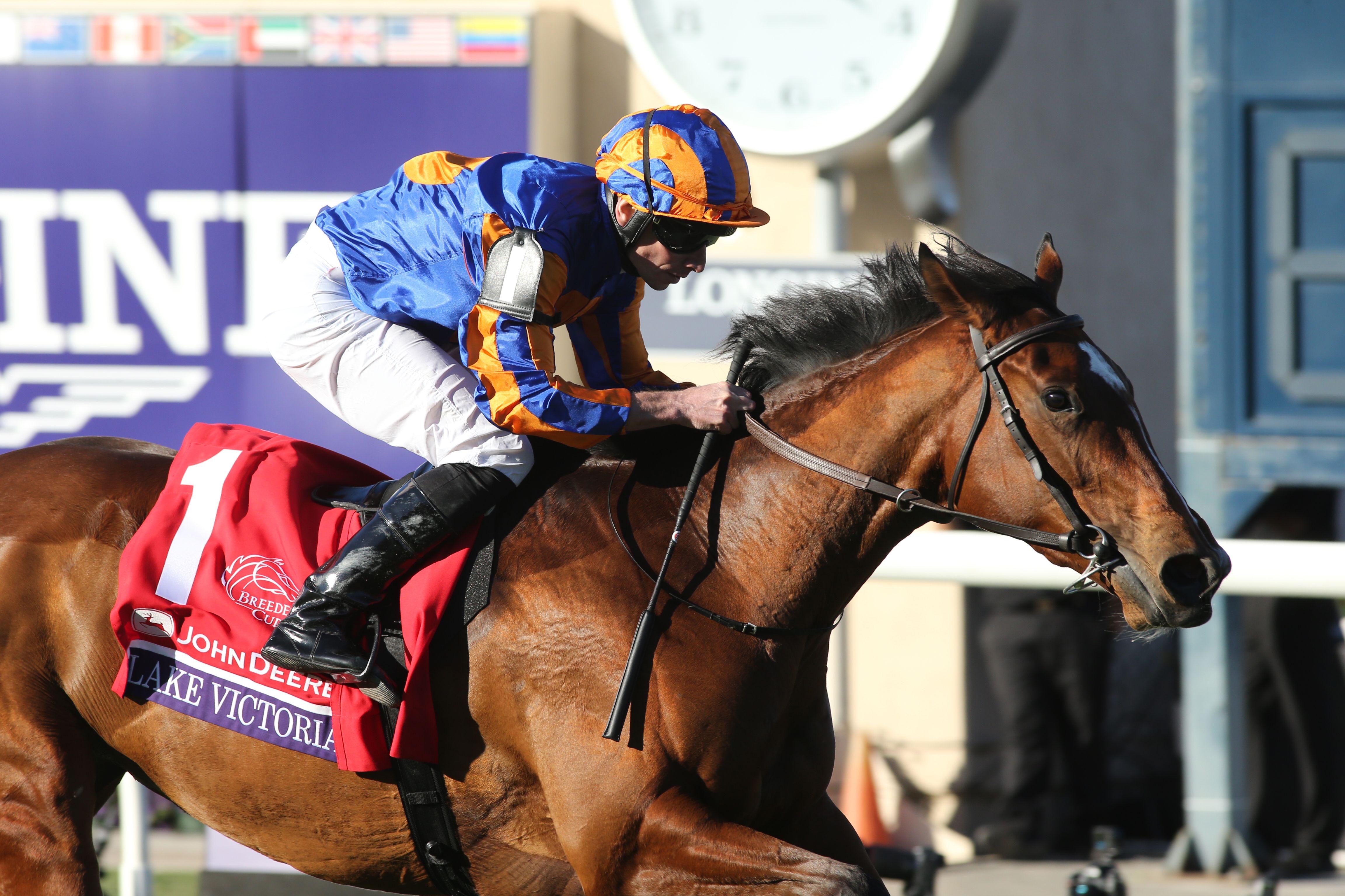 Lake Victoria wins the Breeders Cup Juvenile Fillies Turf.