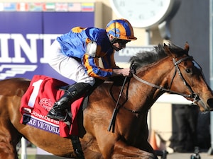 Lake Victoria wins the Breeders Cup Juvenile Fillies Turf. 