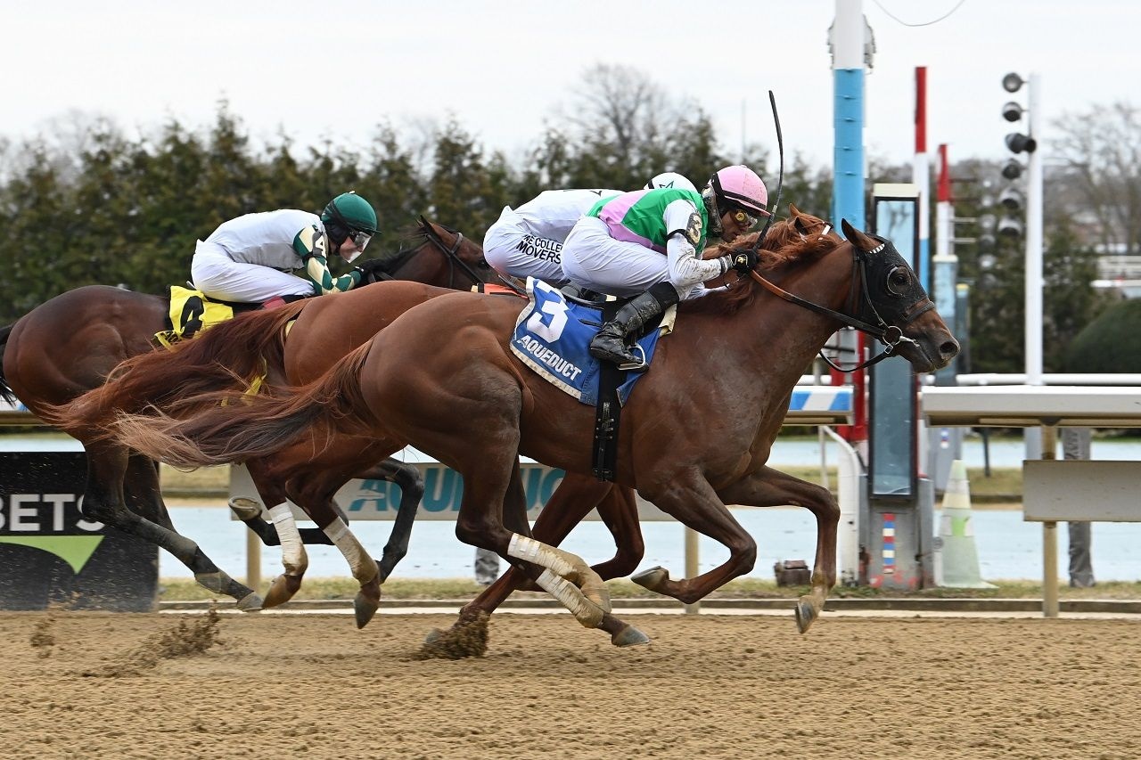 Lambeth breaking his maiden at Aqueduct. (Photo by Coglianese Photos)