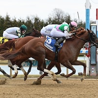Lambeth breaking his maiden at Aqueduct. (Photo by Coglianese Photos)