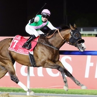 Laurel River romps in the 2024 Dubai World Cup