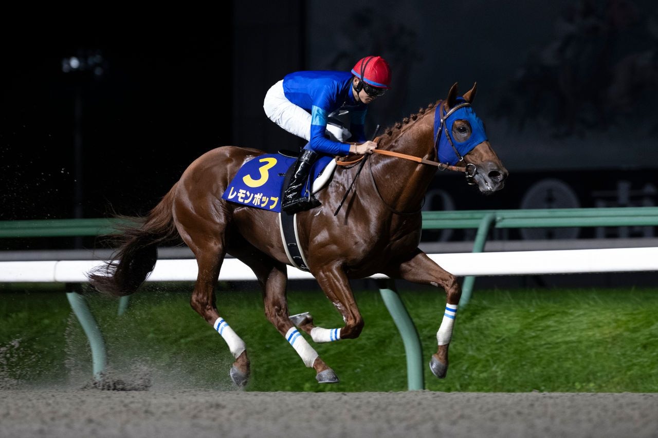 Lemon Pop winning the 2023 Mile Championship Nambu Hai