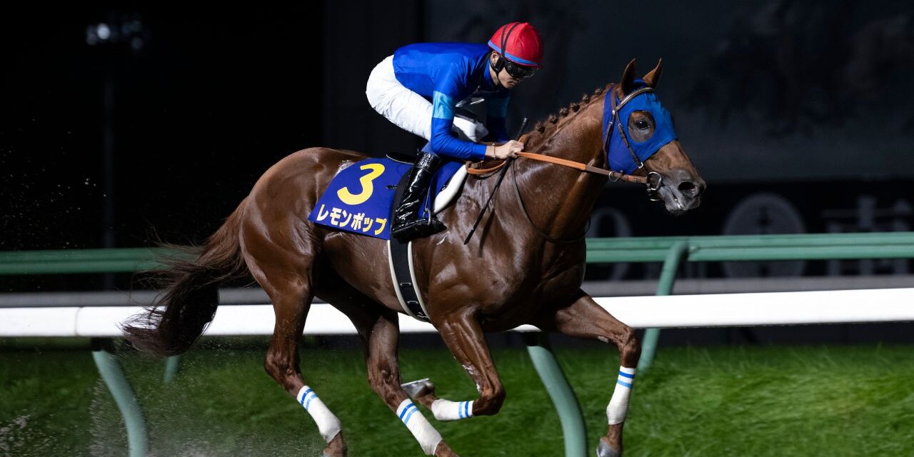 Lemon Pop winning the 2023 Mile Championship Nambu Hai