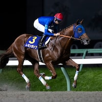 Lemon Pop winning the 2023 Mile Championship Nambu Hai
