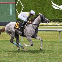 Lennilu romps in the Royal Palm Juvenile Fillies