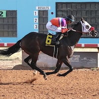 Let Him Be wins the New Mexico Classic Sprint S. at Zia Park.