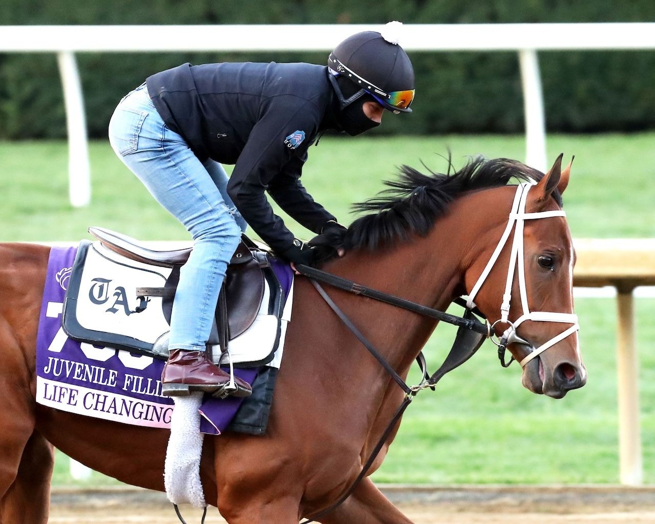 Life Changing works ahead of Breeders' Cup weekend at Keeneland.