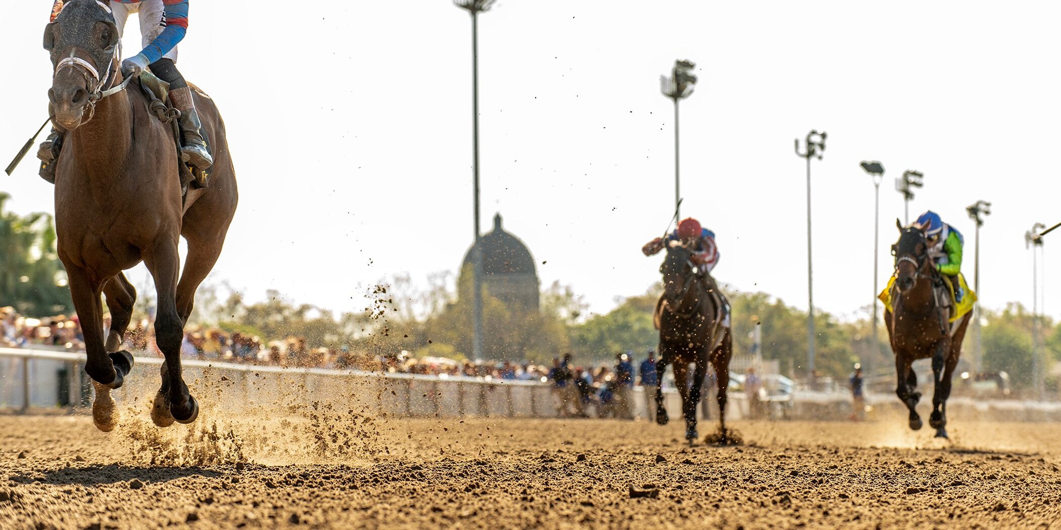 Life of Joy wins the Fair Grounds Oaks at Fair Grounds.
