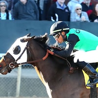 Lightning Struck wins at Oaklawn Park.
