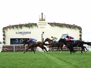 Limestone gets up in a photo-finish in the Queen's Vase (G2) at Royal Ascot