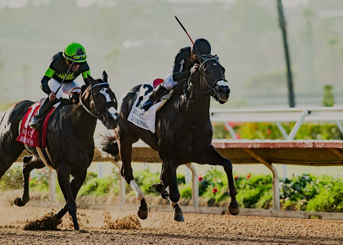 Listenupshance reaches for the wire to fend off Maximum Bourbon in the Bing Crosby (G1)