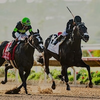 Listenupshance reaches for the wire to fend off Maximum Bourbon in the Bing Crosby (G1)