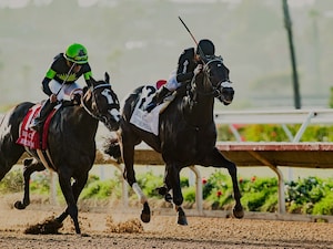 Listenupshance reaches for the wire to fend off Maximum Bourbon in the Bing Crosby (G1)